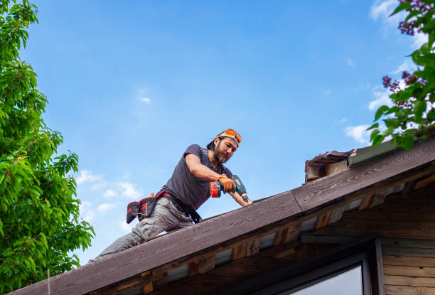 Best Green or Eco-Friendly Roofing Solutions  in Willow Street, PA